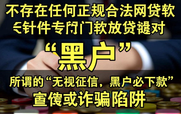 有什么黑户可以贷的网贷软件