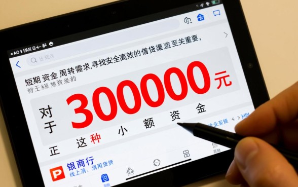 哪里可以快速借到3000元