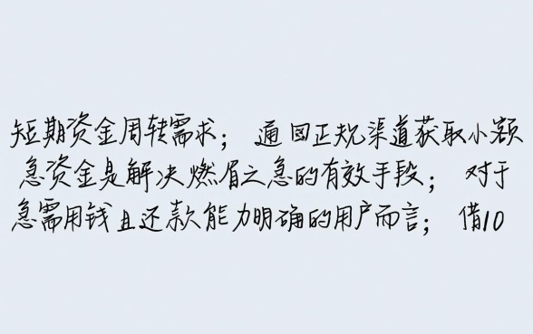 借1000小额贷款7