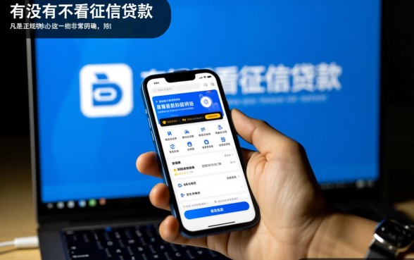 有没有不看征信贷款的app