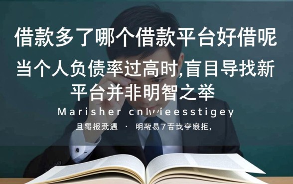 借款多了哪个借款平台好借呢