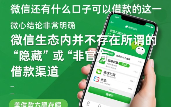 微信还有什么口子可以借款的