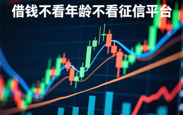 借钱不看年龄不看征信的平台