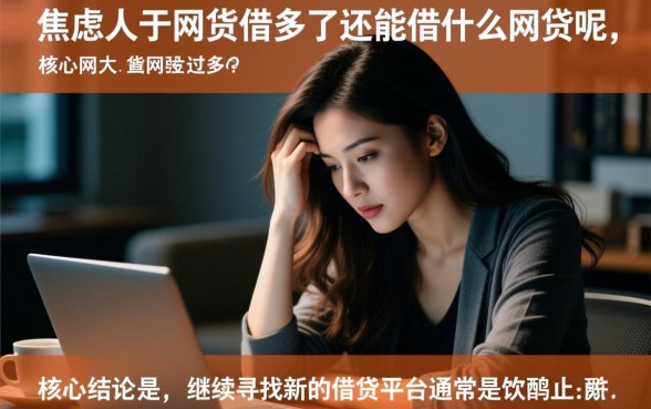 网贷借多了还能借什么网贷呢