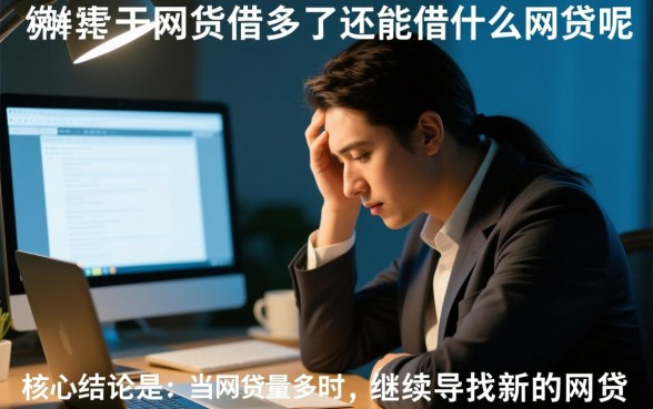 网贷借多了还能借什么网贷呢