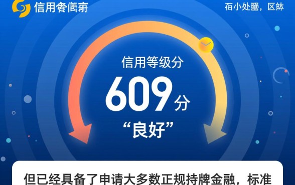 609分哪个贷款平台通过率高