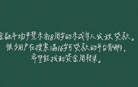 满16岁可贷款的平台有哪些