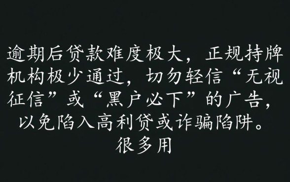 逾期可以贷款的平台有哪些呢