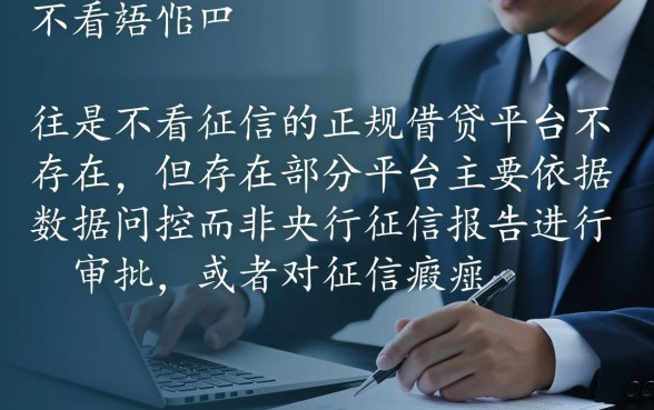 不看征信借款2026哪个靠谱