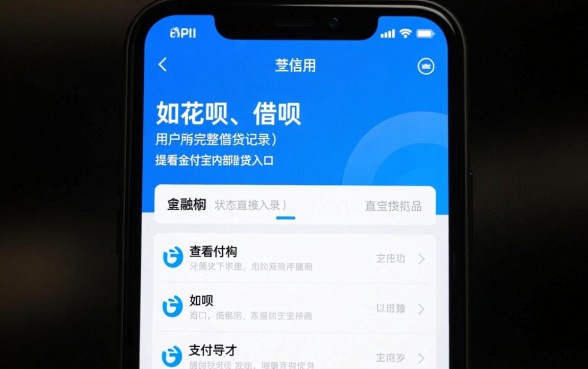 芝麻信用怎么查贷款情况