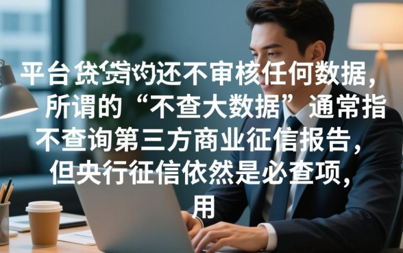 什么平台借款不查大数据记录