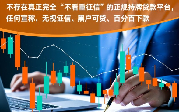 有什么不看重征信的贷款平台