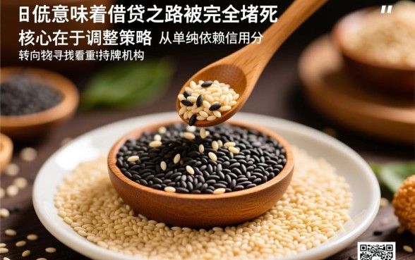 芝麻分低可以在哪些平台借款