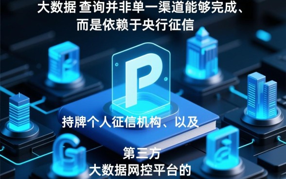 通过什么平台查询详细记录