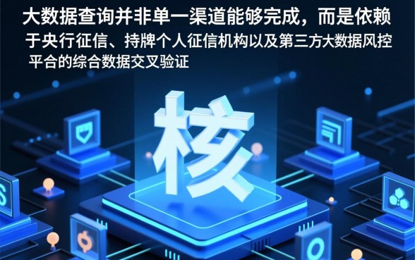 通过什么平台查询详细记录