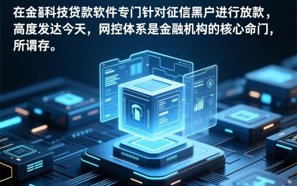 黑户网上哪个可以贷款的软件