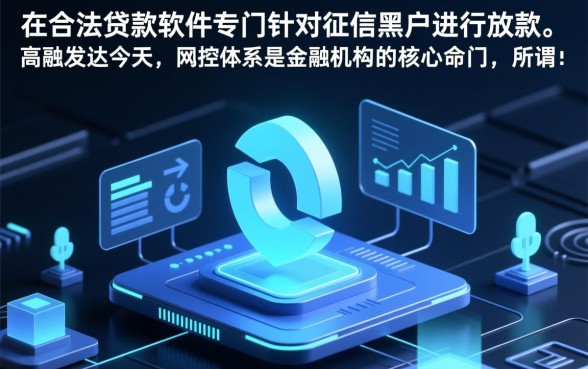 黑户网上哪个可以贷款的软件