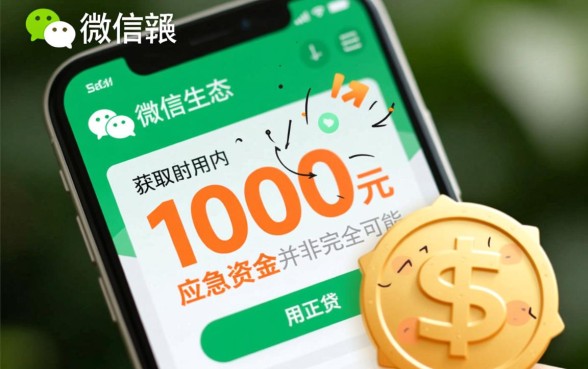 黑户1000元小额微信借钱能借吗
