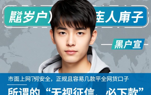 黑户18岁网贷什么口子好贷