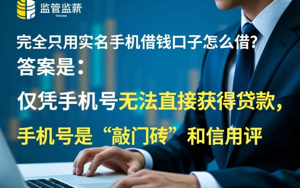 只用实名手机借钱口子怎么借