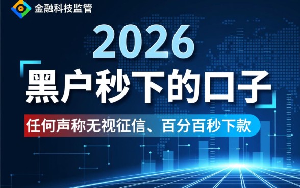 黑户秒下的口子有吗2026