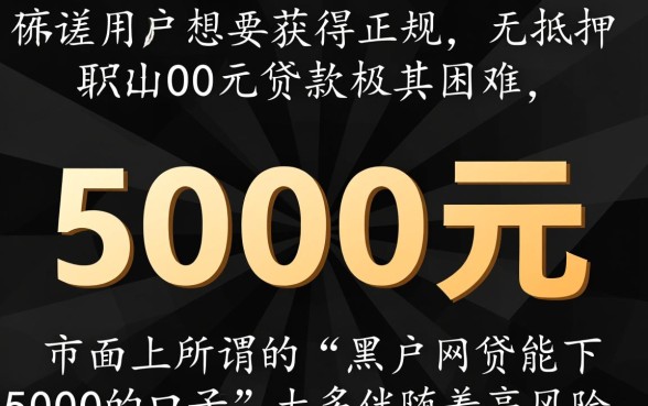 黑户网贷能下5000的口子