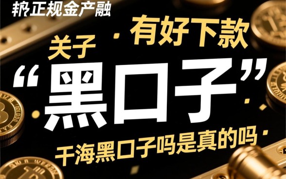 2026容易下款的黑口子靠谱吗