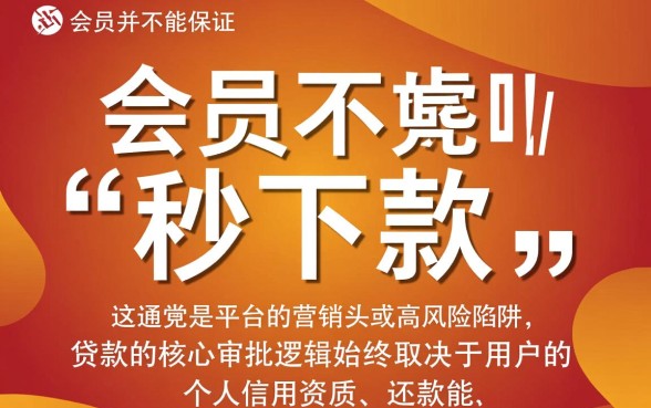 24年买会员真的能秒下款吗