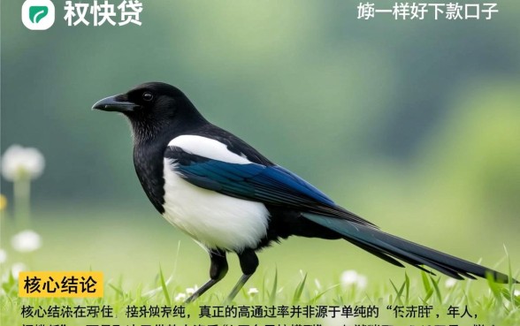 跟喜鹊快贷一样好下款的口子有哪些