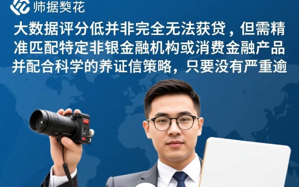 征信花大数据花也能下的口子