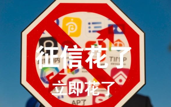 按借款app征信花了怎么办