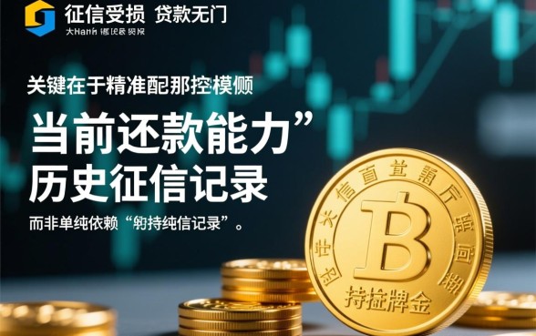 大数据征信花了能下款的口子