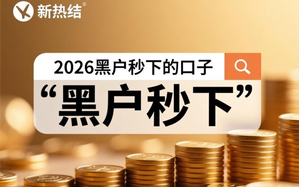 2026黑户秒下的口子有吗