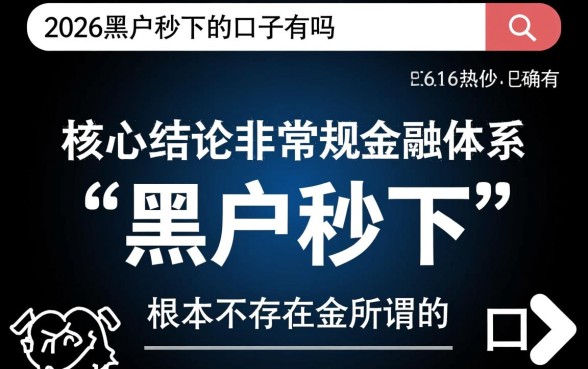 2026黑户秒下的口子有吗