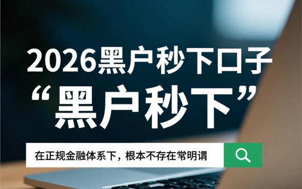 2026黑户秒下的口子有吗