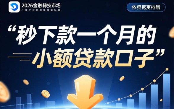 秒下款一个月的小额贷款口子有哪些