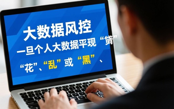 风控大数据黑了能下款的口子