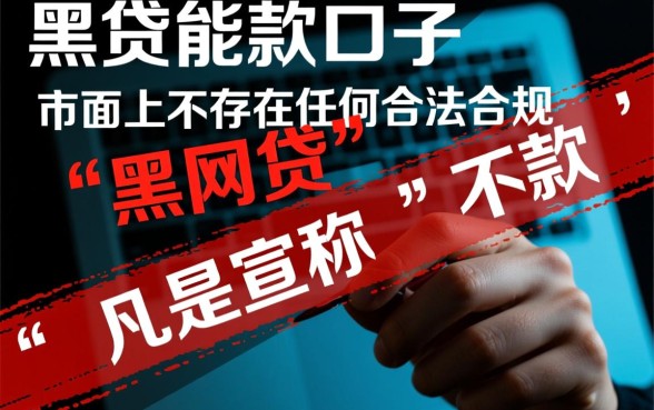 2026征信黑了能下款的口子