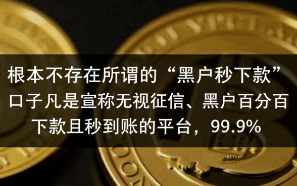 有没有黑户的口子秒下款的吗