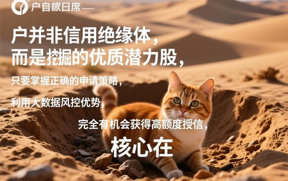 白户可以下款的大额分期口子