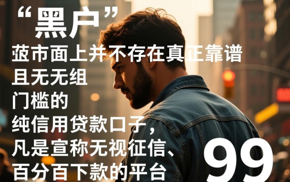 求黑户也能下的口子有哪些呢