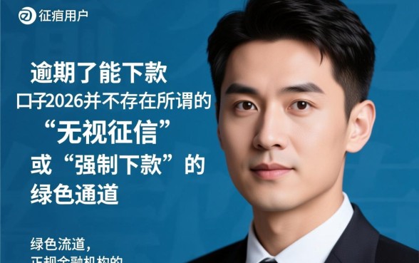 2026逾期了能下款的口子有哪些