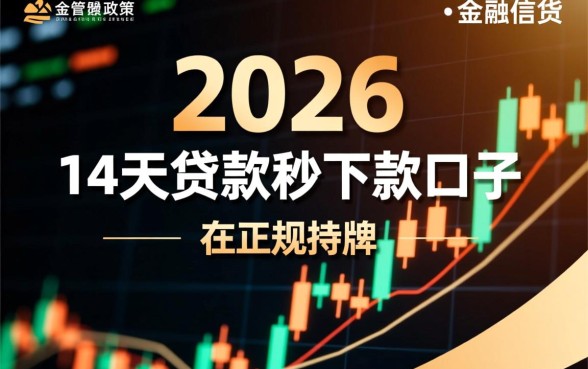 哪里能借到不用审核的14天贷款