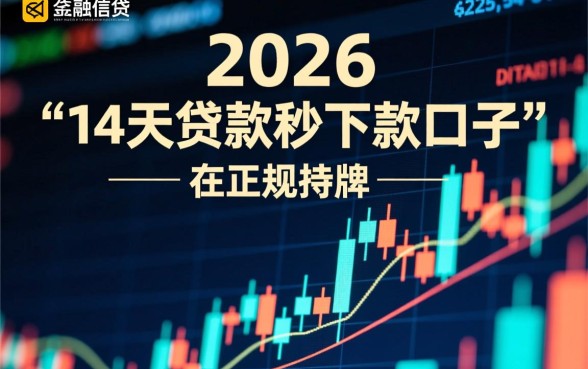 哪里能借到不用审核的14天贷款