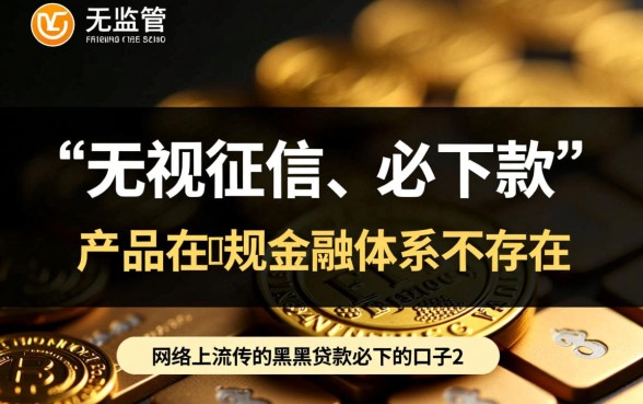 黑户贷款必下的口子2026有哪些