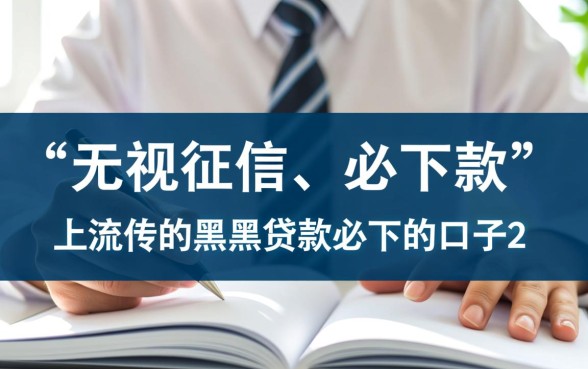 黑户贷款必下的口子2026有哪些