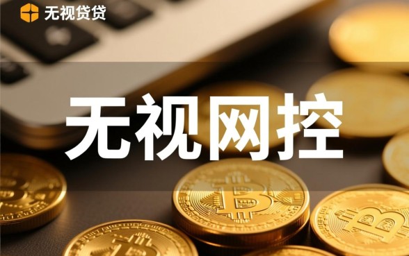 无视风控秒下贷款口子有哪些