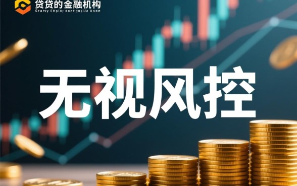 无视风控秒下贷款口子有哪些