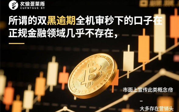 双黑逾期中全机审秒下的口子