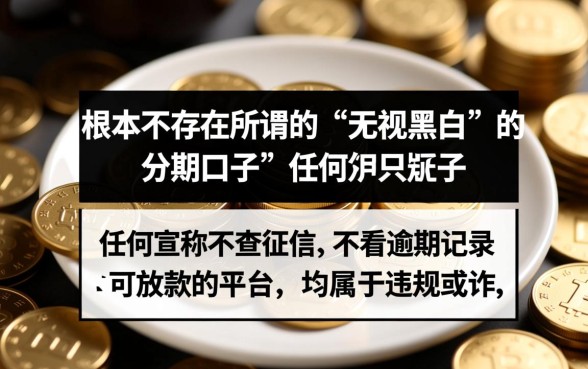 有没有无视黑白的分期的口子